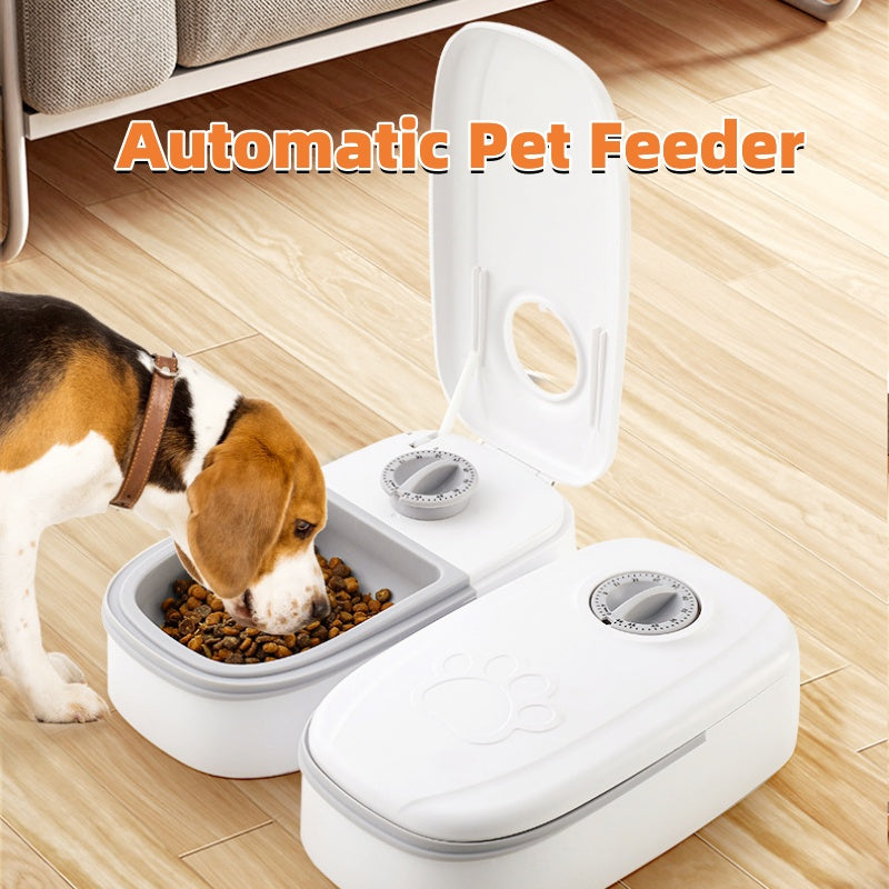 Close-up of timer dial on automatic cat food dispenser