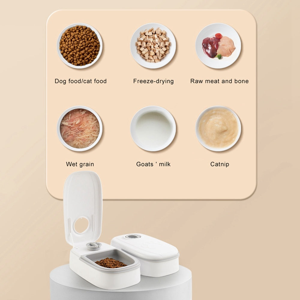 Pink single meal pet food dispenser with timer control