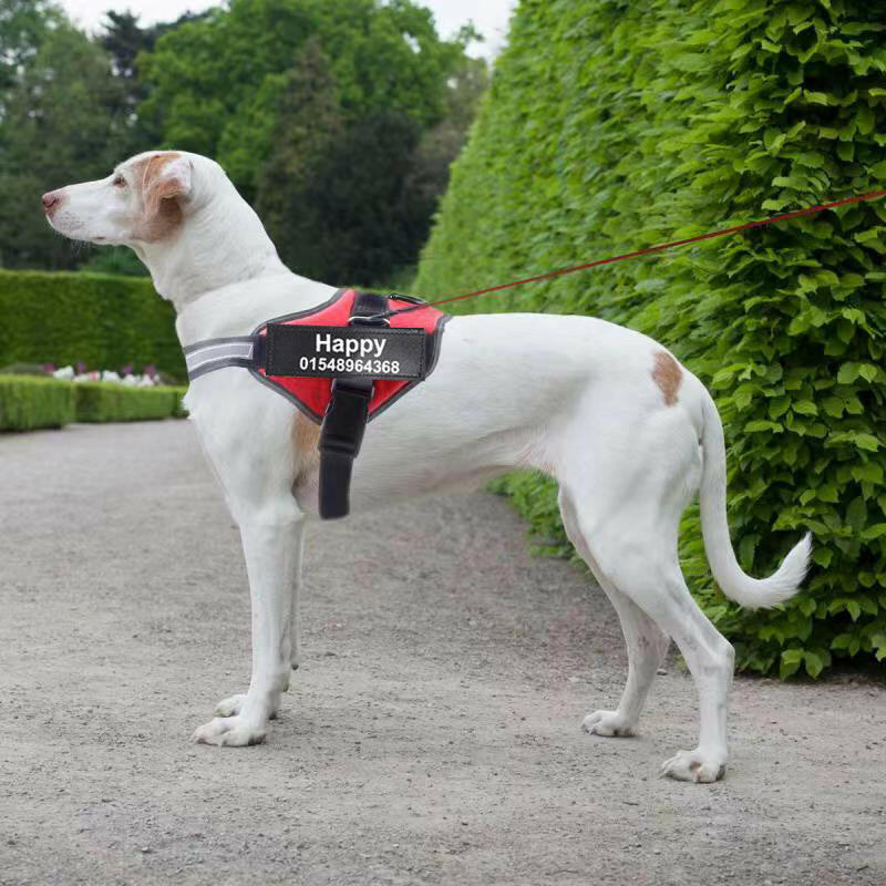 Petpal Breathable No Pull Pet Harness Reflective for Dogs.