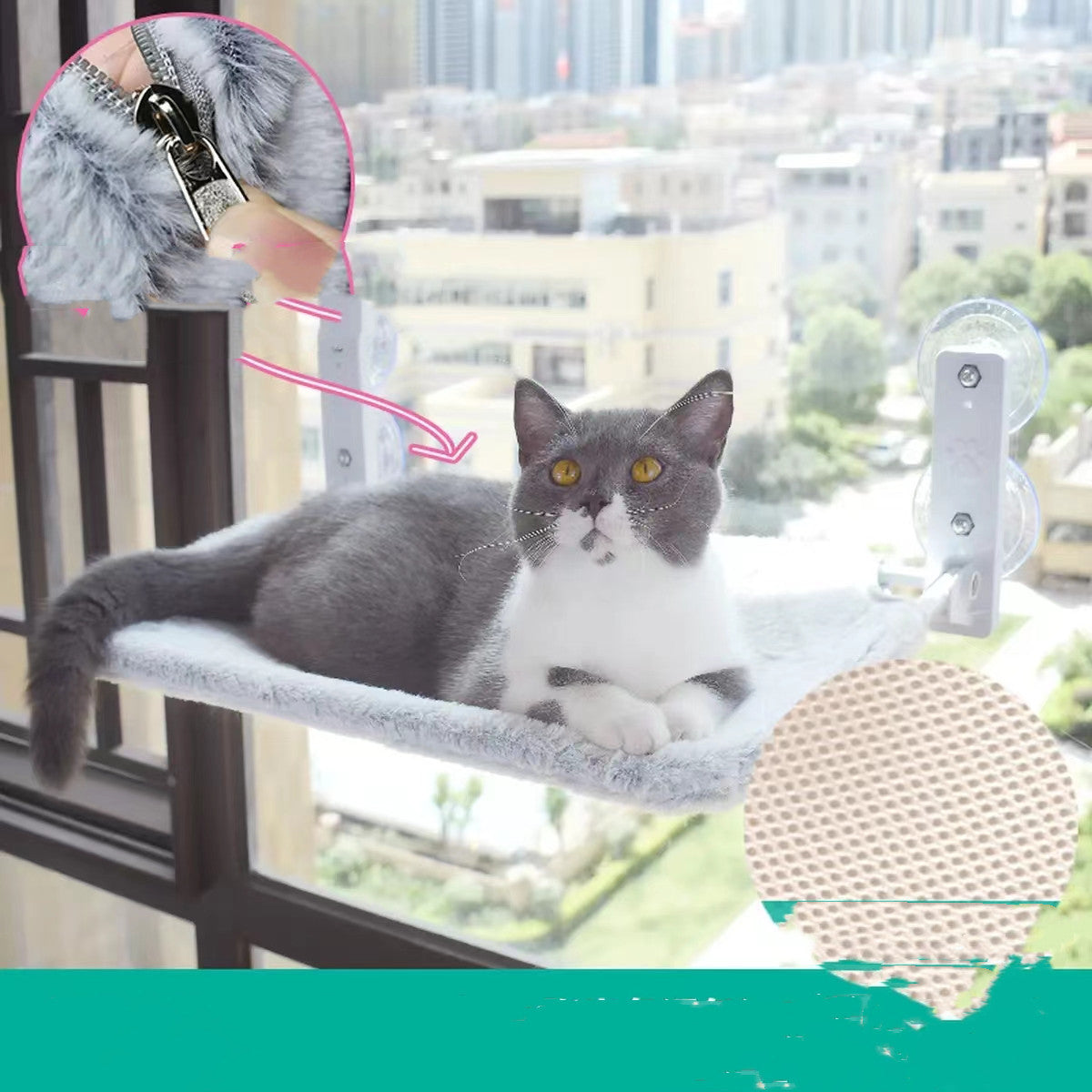 Cat hammock mounted on glass window with sun exposure