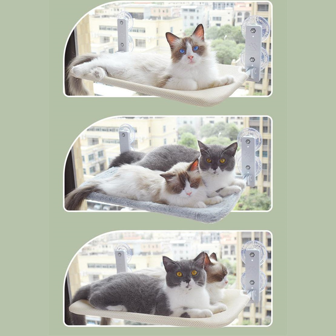Mesh hammock for cat mounted on living room window