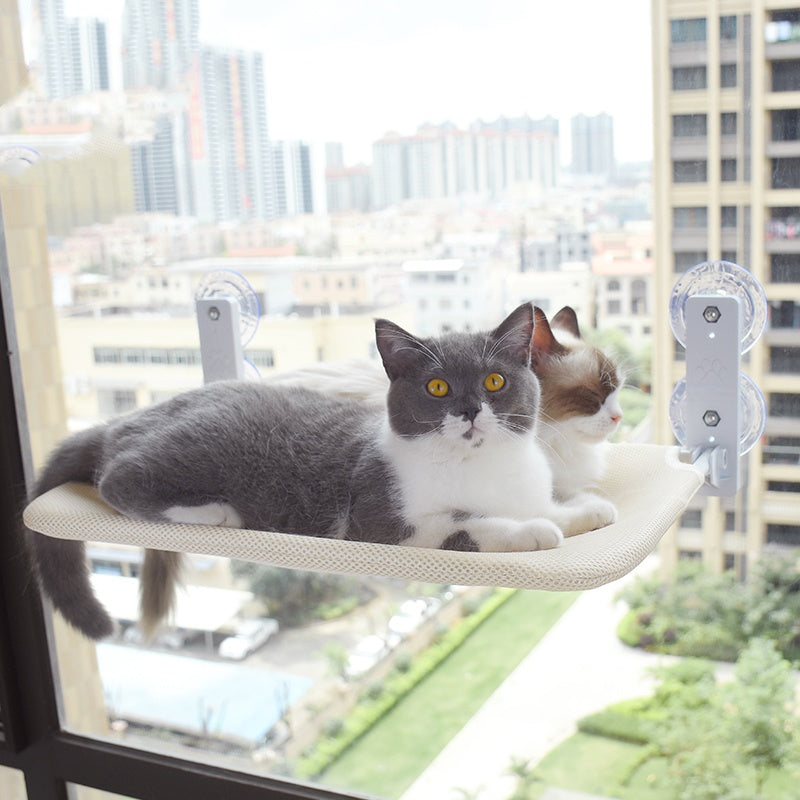 Cat lying on window-mounted hammock with suction cups