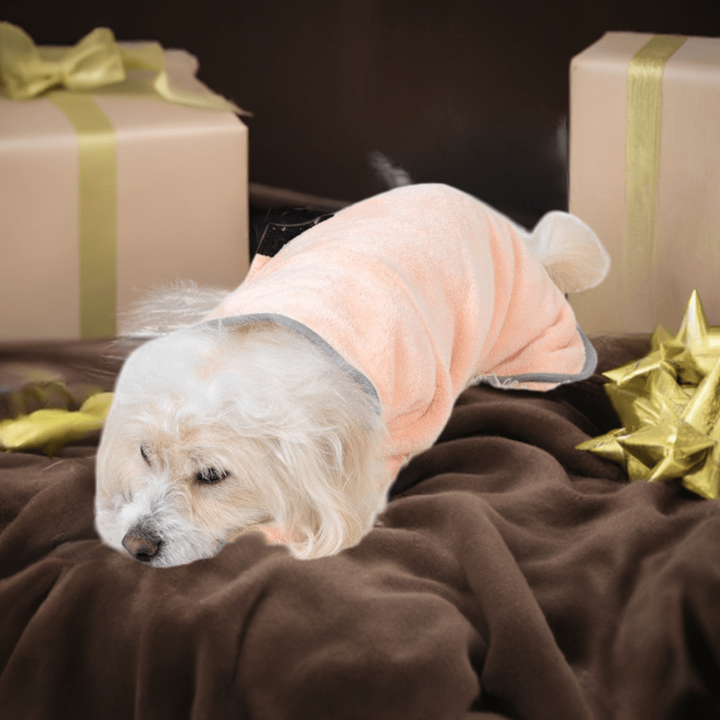 Cozy dog wrapped in a comfortable pet bath towel sitting on a decorative surface with gifts