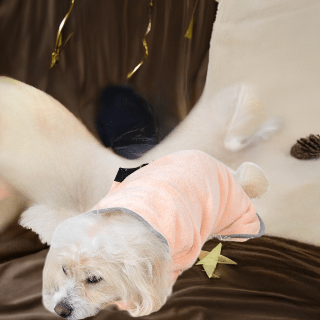 Cute dog in a comfortable pet bath towel, perfect for drying after a bath or swim