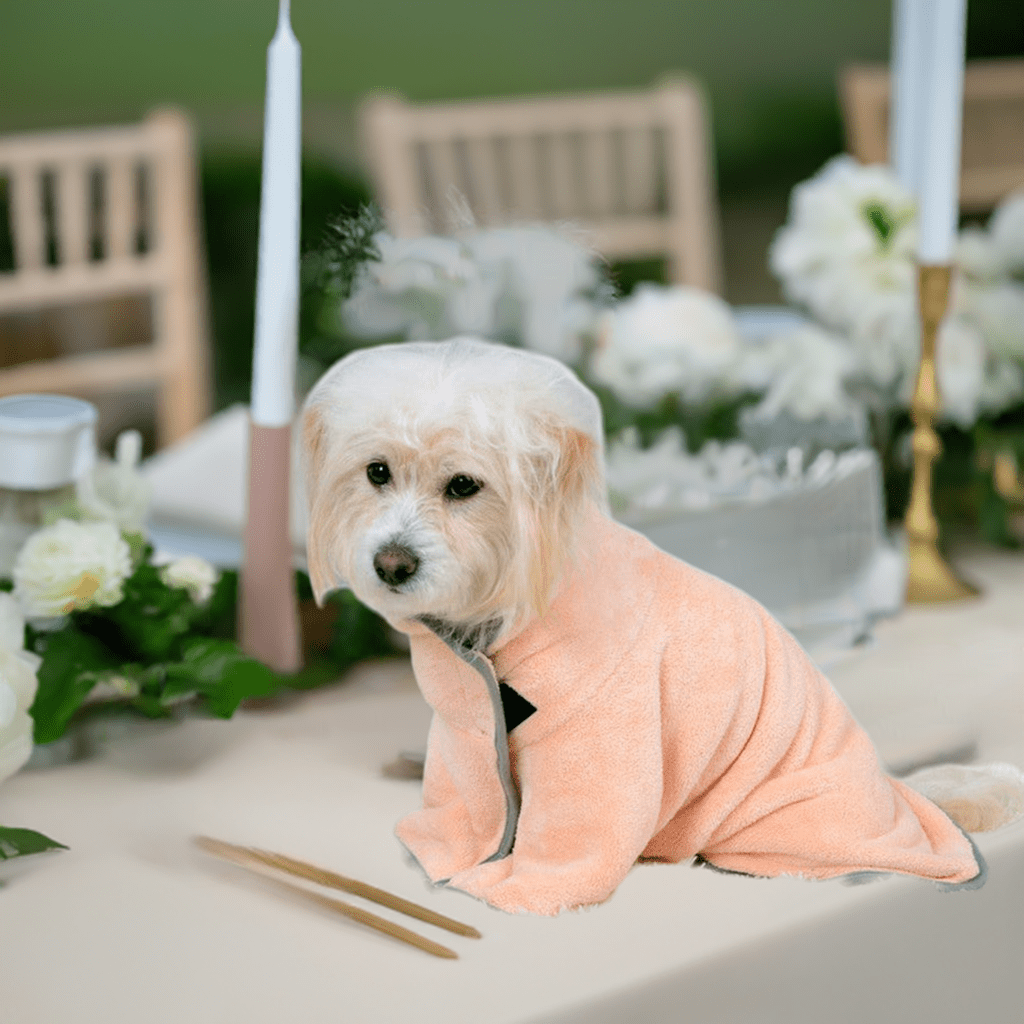 Fluffy dog wearing a comfortable pet bath towel sitting at a dining table with floral decorations