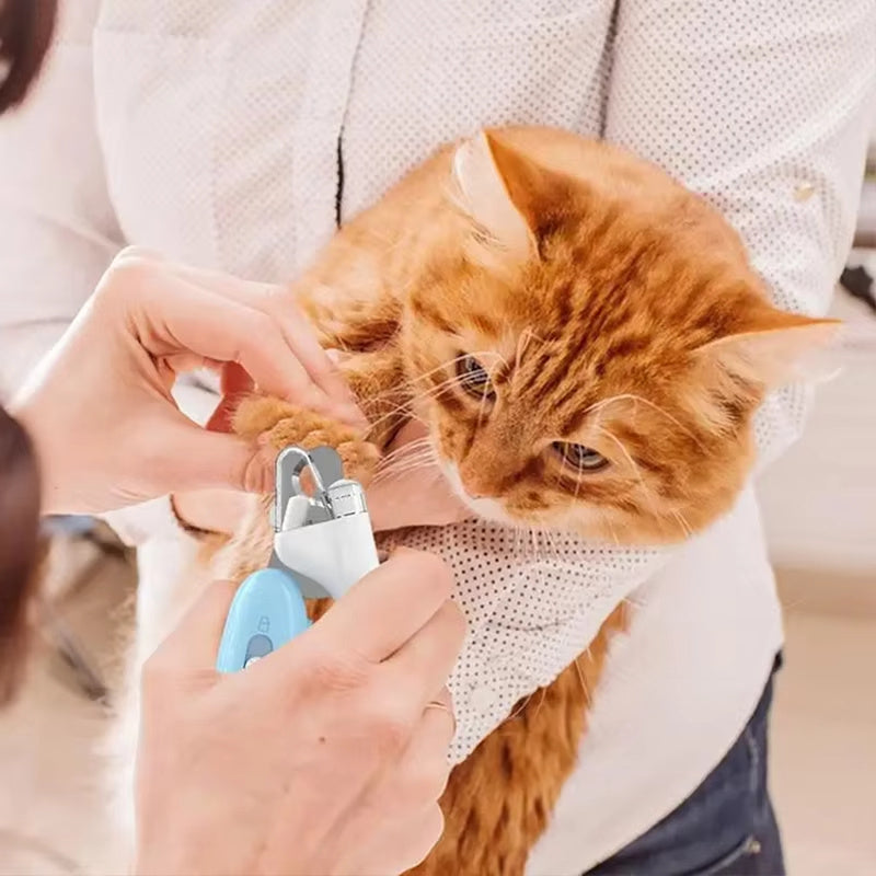 How to hold dog nail clipper for safe trimming