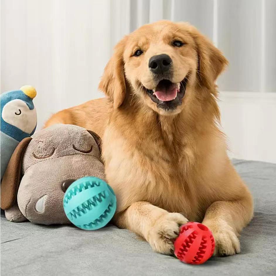 Golden Retriever playing with a hemp rope dog toy and plush toys in a cozy indoor setting