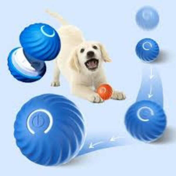 Petpal interactive dog ball UK designed for fun and engaging playtime with your pet