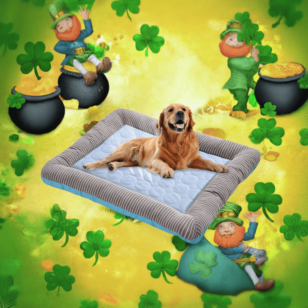 Golden retriever resting on a soft multi-size pet bed mat surrounded by a colorful St. Patrick's Day theme