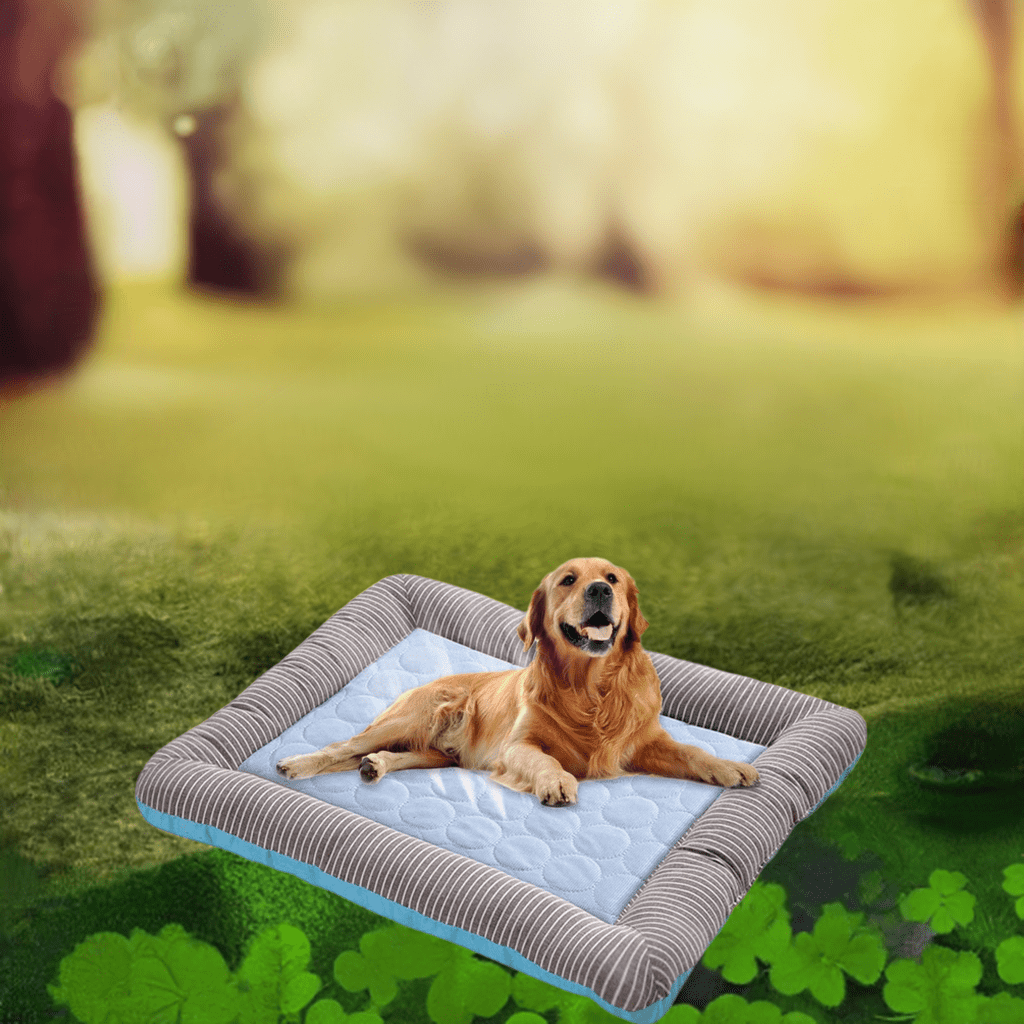 Comfortable multi-size pet bed mat for dogs with a soft quilted surface outdoors