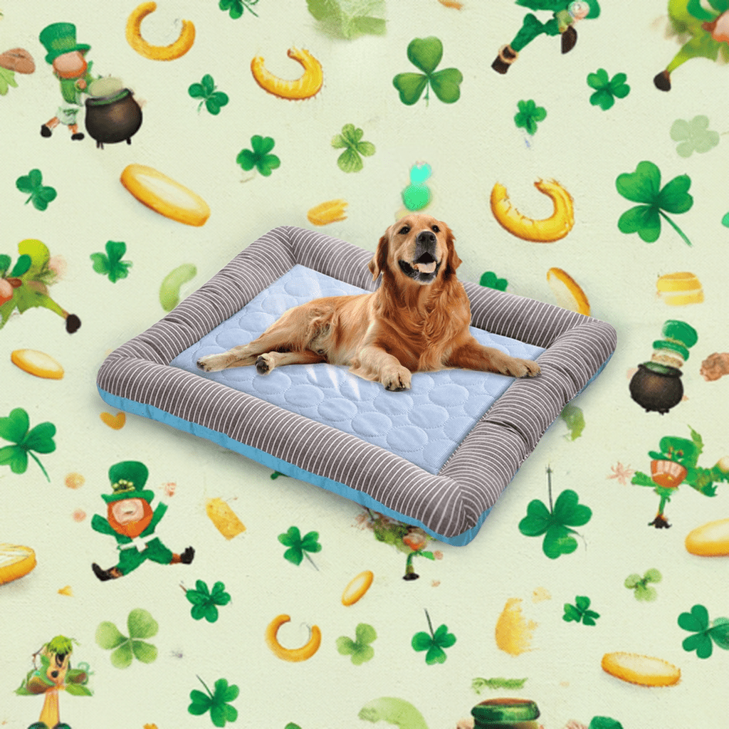 Comfortable multi-size pet bed mat for dogs featuring a supportive design in a playful setting