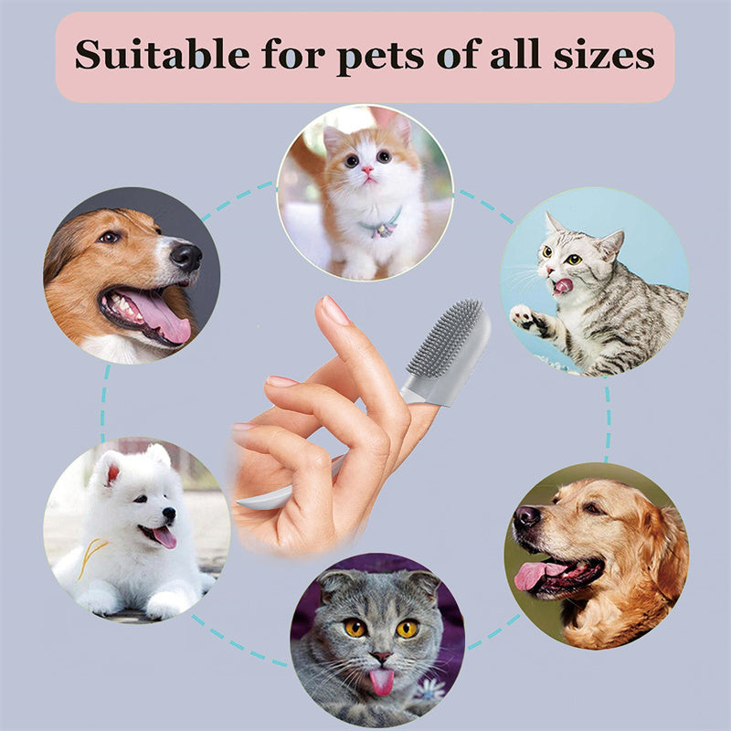 Petpal pet teeth cleaning supplies for dogs and cats in various sizes and breeds, promoting oral hygiene