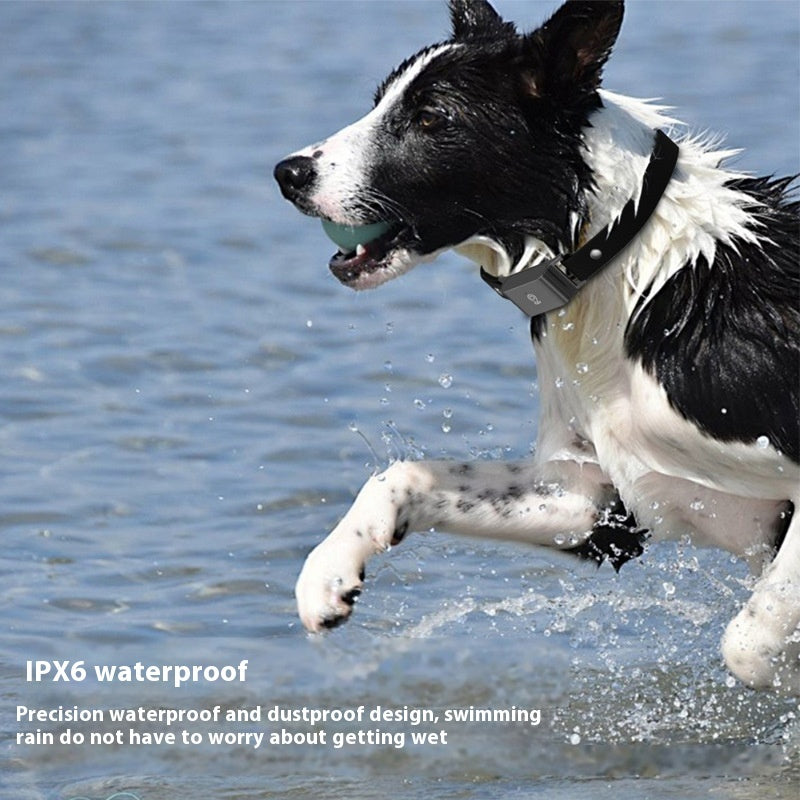 op view of PetPal GPS Pet Tracking Collar – Durable and Comfortable for Pets