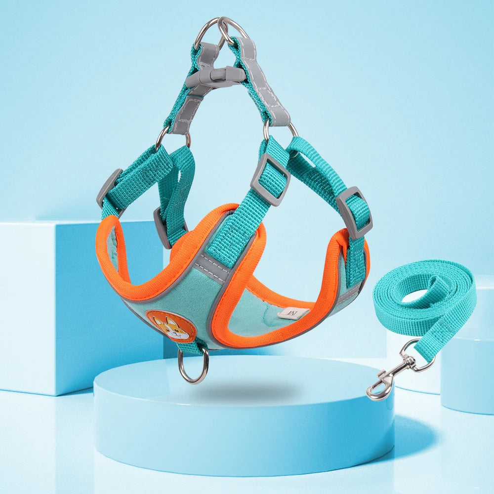 Reflective no pull harness for small dogs in teal and orange color with matching leash