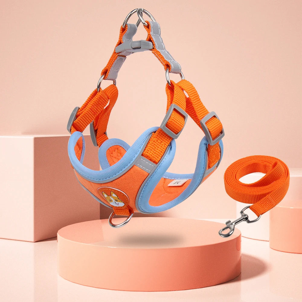 Petpal reflective no pull harness for small dogs in orange and blue with matching leash