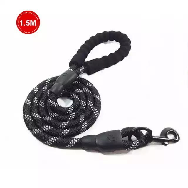Petpal Reflective Puppy Leash for Night Walks.