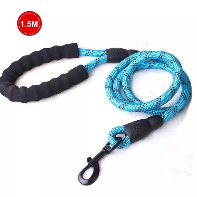 Petpal Reflective Puppy Leash for Night Walks.