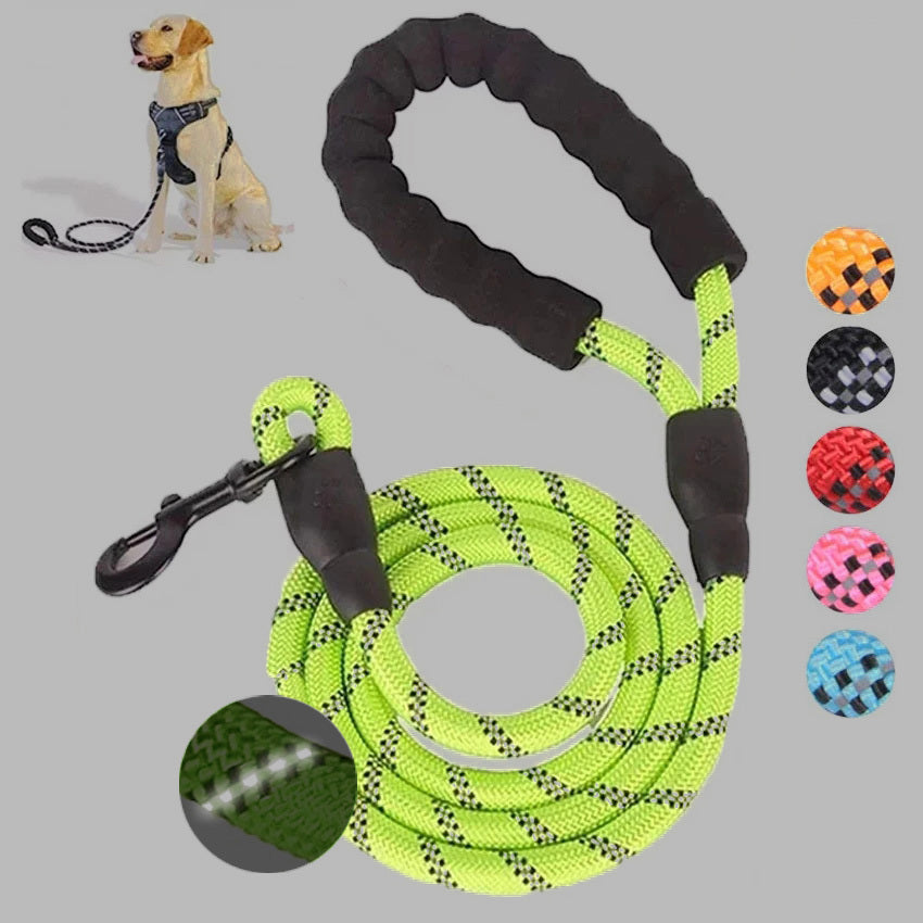 Bright green reflective puppy leash for night walks with comfortable grip for safe outdoor adventures