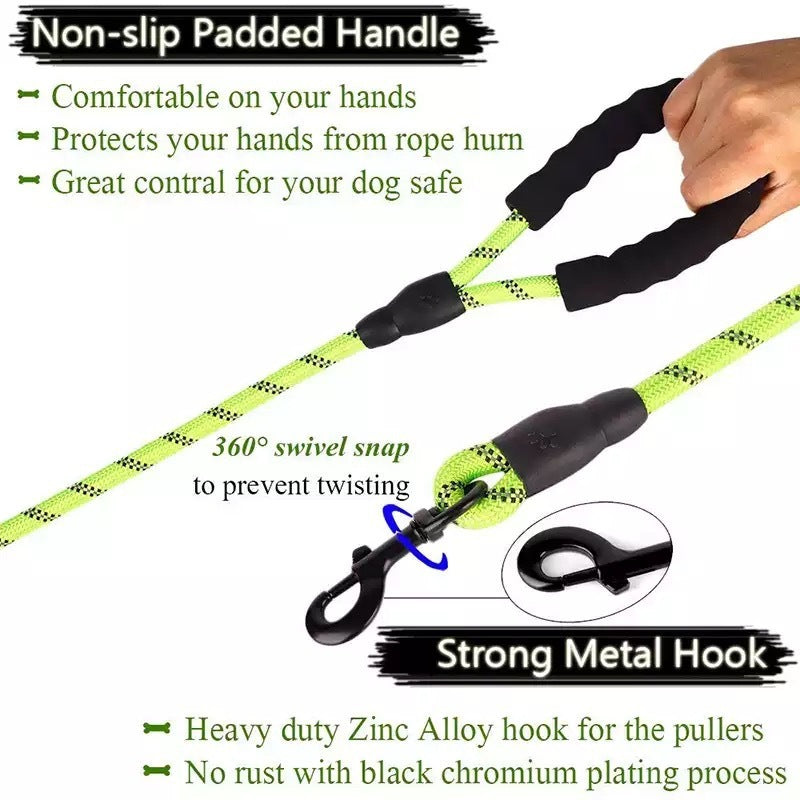 Petpal Reflective Puppy Leash for Night Walks.