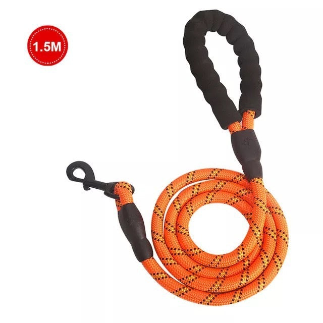 Petpal Reflective Puppy Leash for Night Walks.