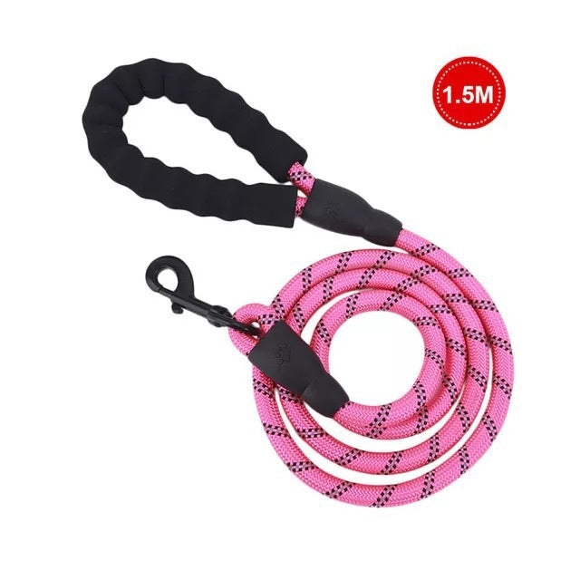 Petpal Reflective Puppy Leash for Night Walks.