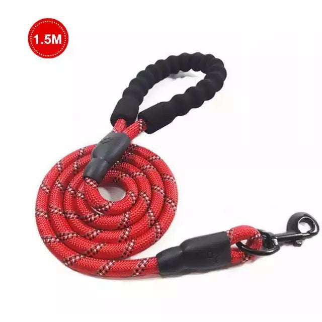 Petpal Reflective Puppy Leash for Night Walks.