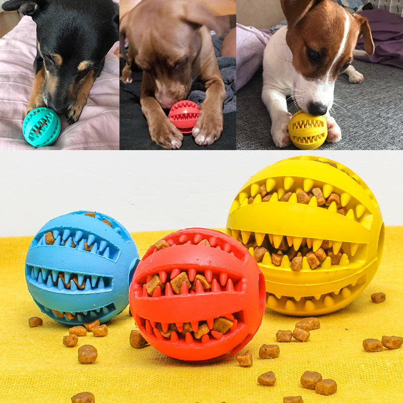Rubber dog ball toy in blue, red, and yellow with treats for playful dogs of different breeds