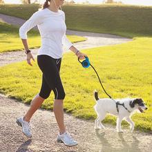 Woman walking her dog with a Telescopic Dog Leash in a sunny park