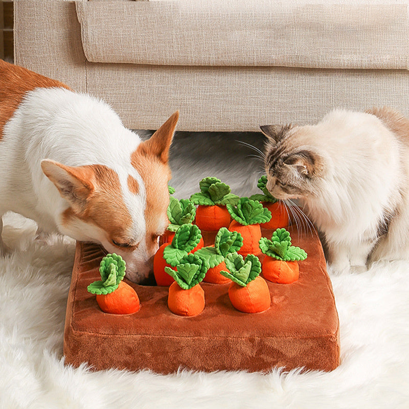 vegetable-dog-toys-corgi-cat-playing-with-carrots