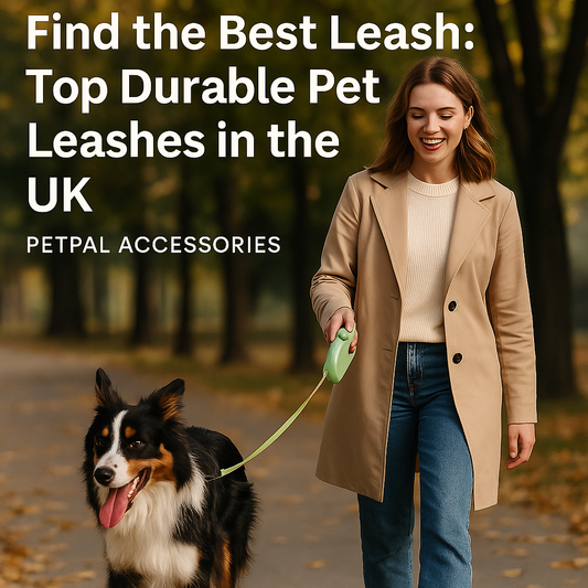 Woman walking her happy dog with a durable green retractable leash from PetPal Accessories in a peaceful autumn park, showcasing premium UK pet products.