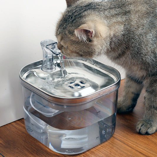 Cat drinking from PetPal automatic stainless steel pet water fountain for fresh and filtered hydration