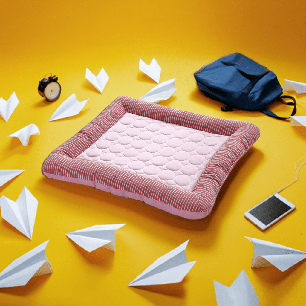 Brightly colored best pet beds UK surrounded by paper planes and casual items for a trendy look