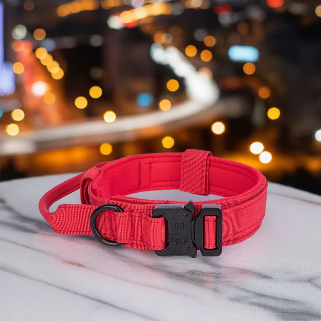 Reflective no-pull leash for small dogs – orange color, Durable dog leash with LED light – night visibility