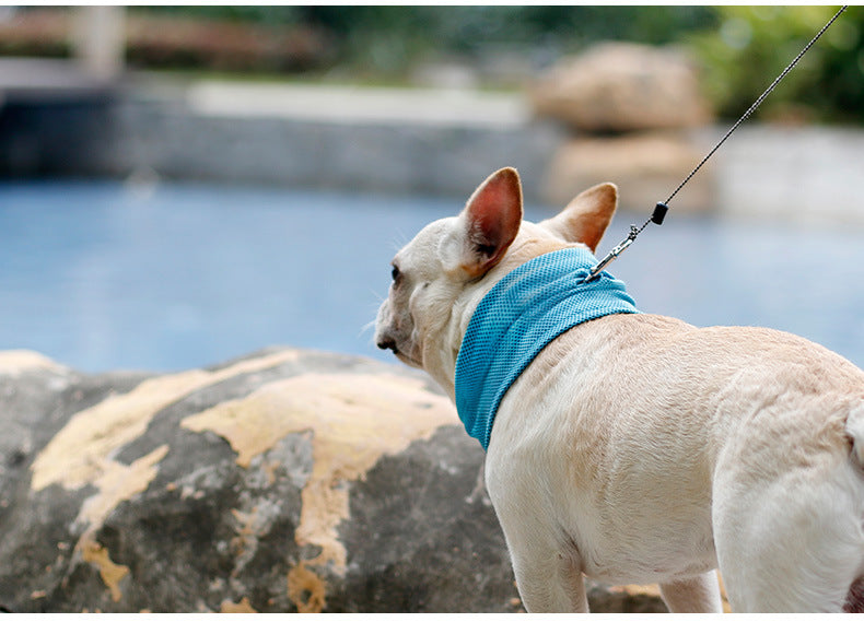Safe and breathable cooling neck scarf for dogs in hot climates