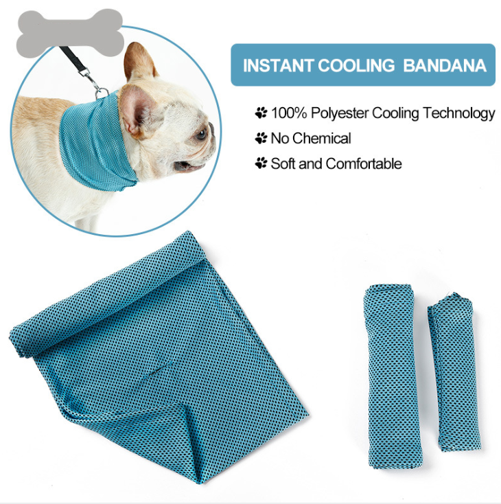 Dog wearing breathable cooling wrap collar for heat relief during summer walks