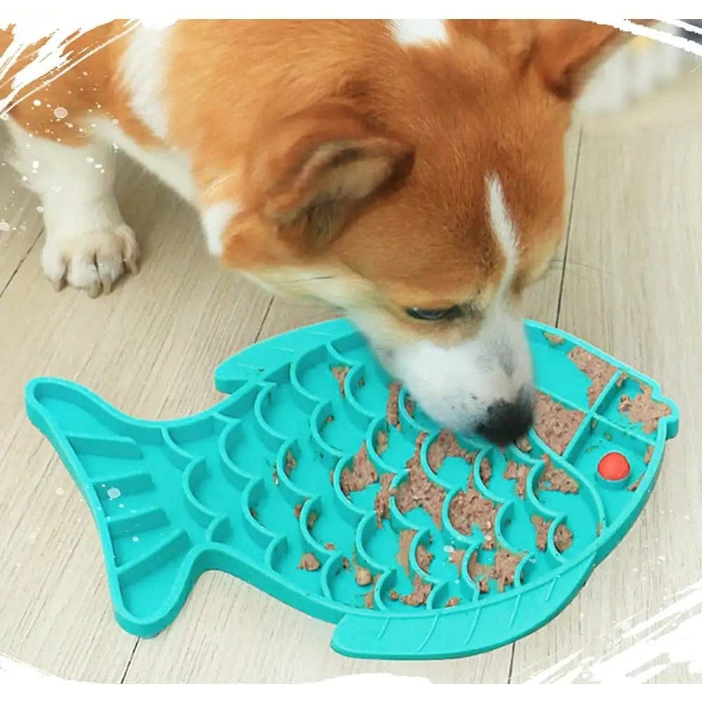Corgi using an anti gulping pet feeder shaped like a fish to enjoy its food slowly