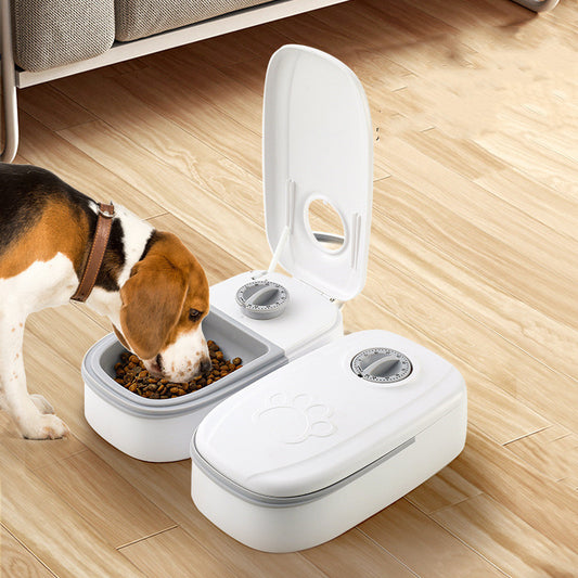 automatic dog feeder