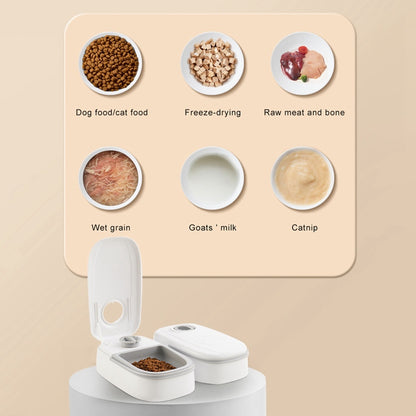 Pink single meal pet food dispenser with timer control