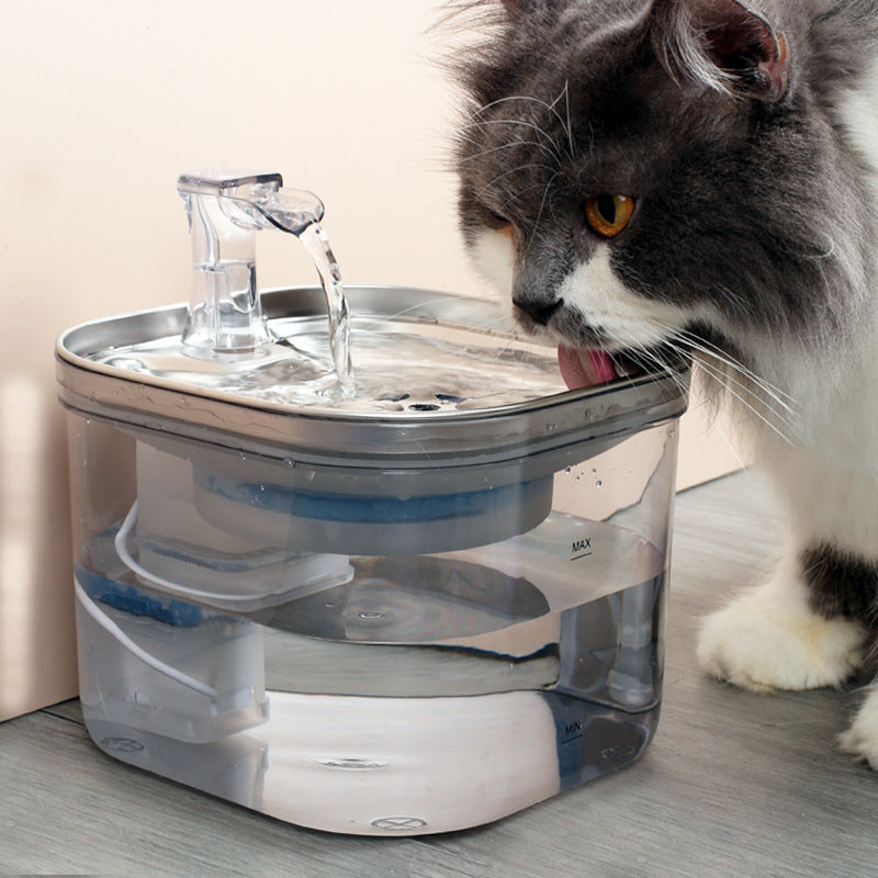 Cat drinking from stainless steel pet water fountain – PetPal Accessories