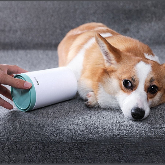 Portable pet paw cleaner for easy cleaning after walks, designed for dogs and cats