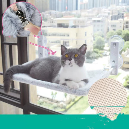 Cat hammock mounted on glass window with sun exposure