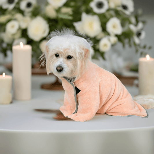 Petpal Accessories Comfortable Pet Bath Towel in Soft Pink for Small Dogs and Cats