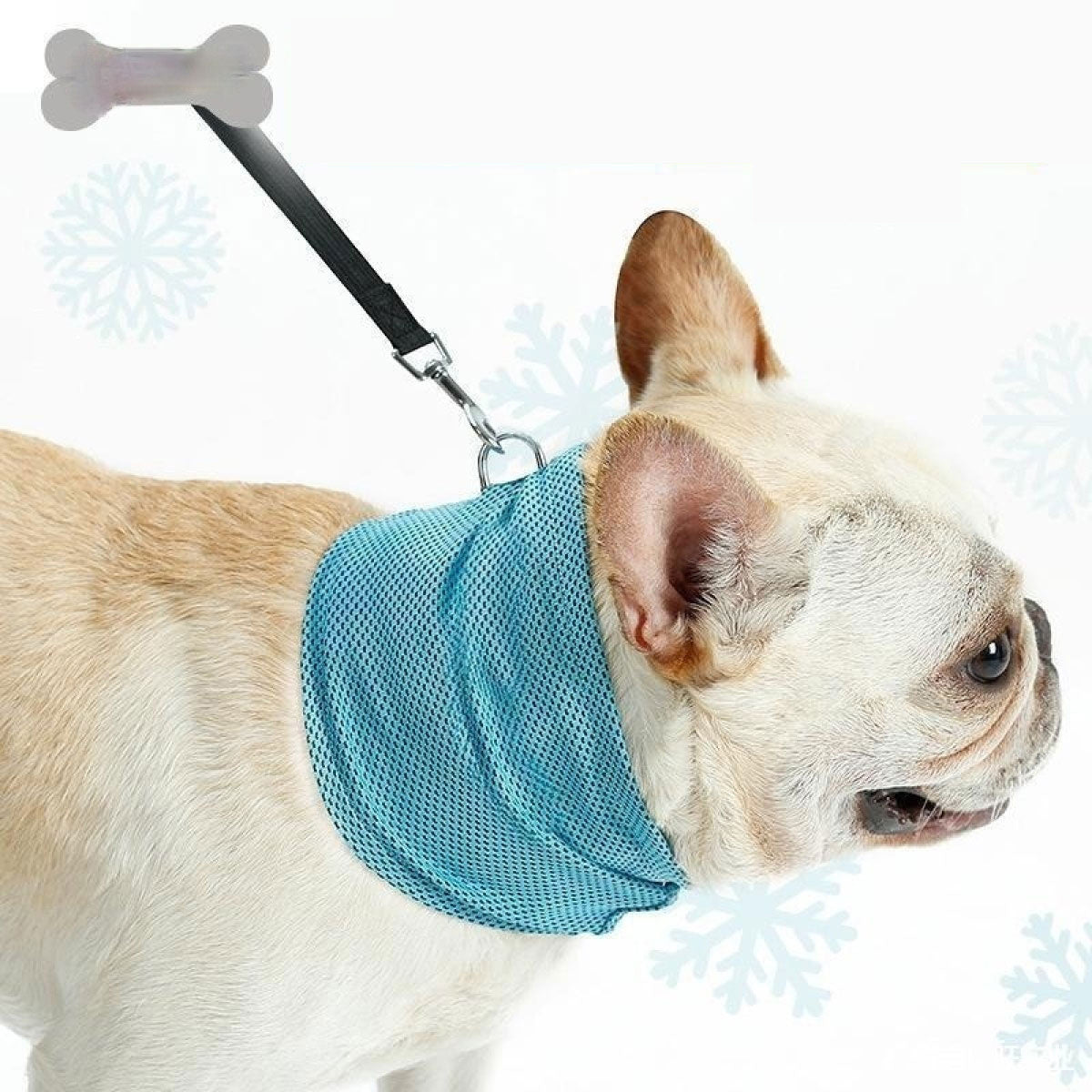 PetPal Cooling Wrap Dog Collar Blue on happy dog