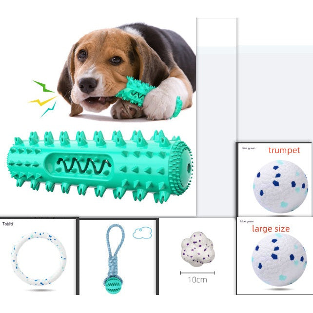 Petpal dog teething toy in teal with spiky texture for soothing puppies and promoting dental health
