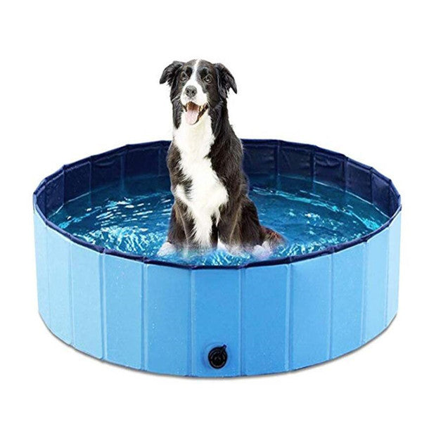 Golden Retriever enjoying summer in foldable dog pool