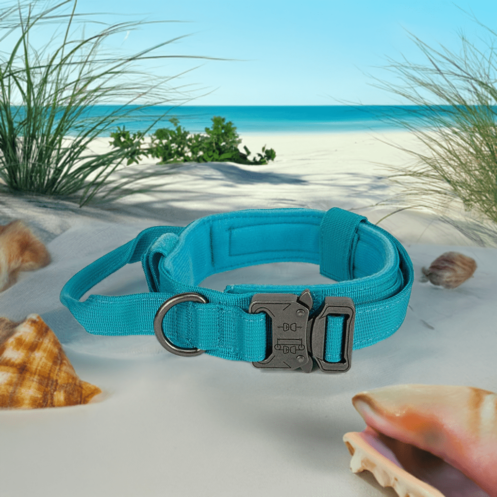 High-quality dog collar UK in blue, designed for comfort and durability on beach outings