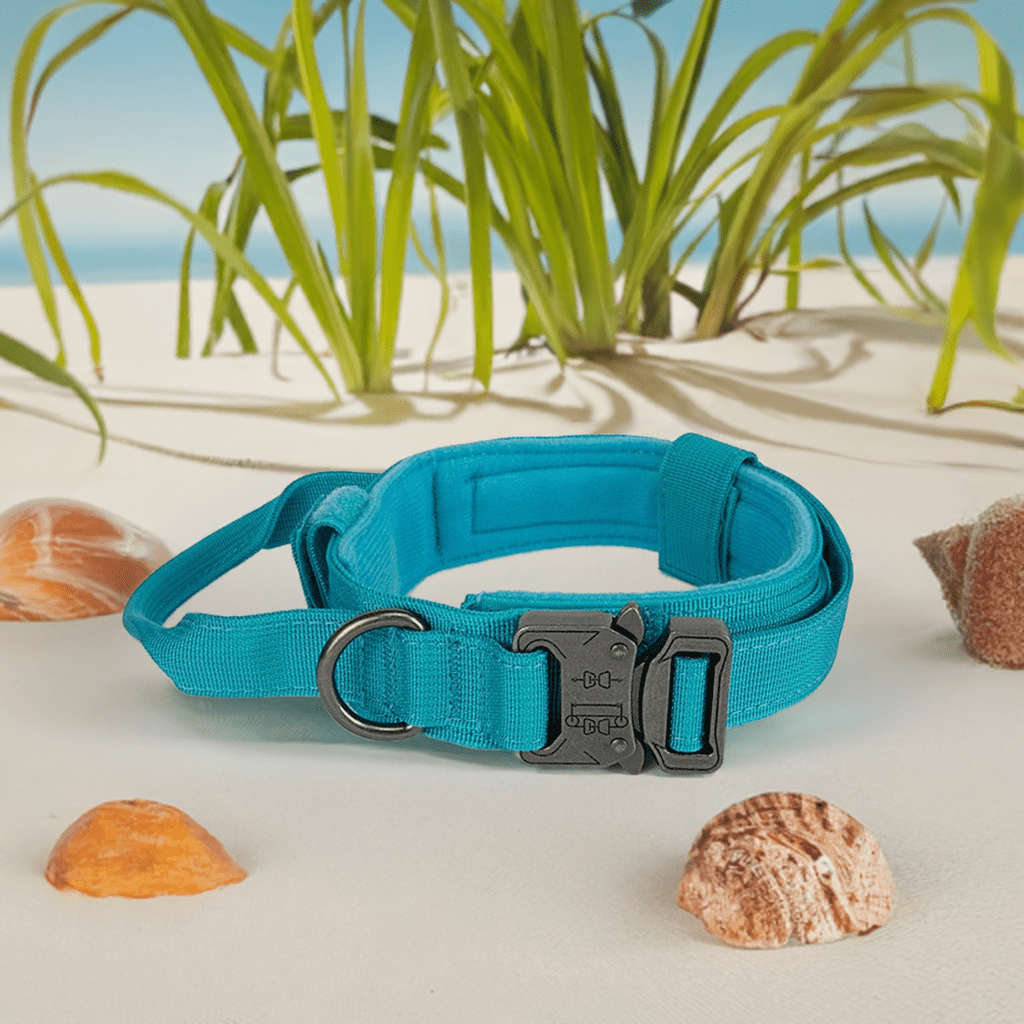 High-quality dog collar UK in turquoise color with durable buckle and adjustable strap for comfortable fit