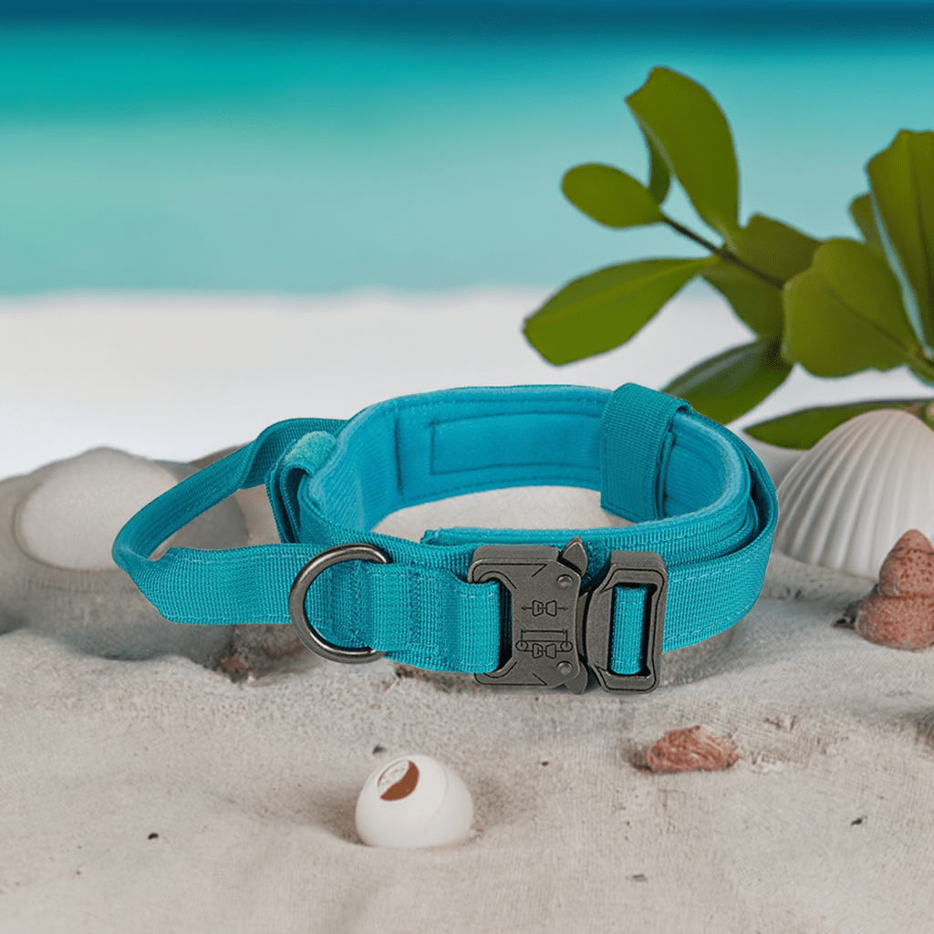 High-quality adjustable dog collar in durable nylon – perfect for daily walks in the UK
