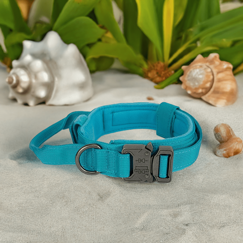 High-quality dog collar UK in teal color with adjustable design and durable buckle for comfort and security