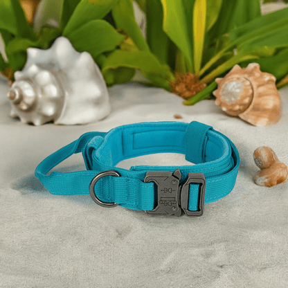 High-quality dog collar UK in teal color with adjustable design and durable buckle for comfort and security